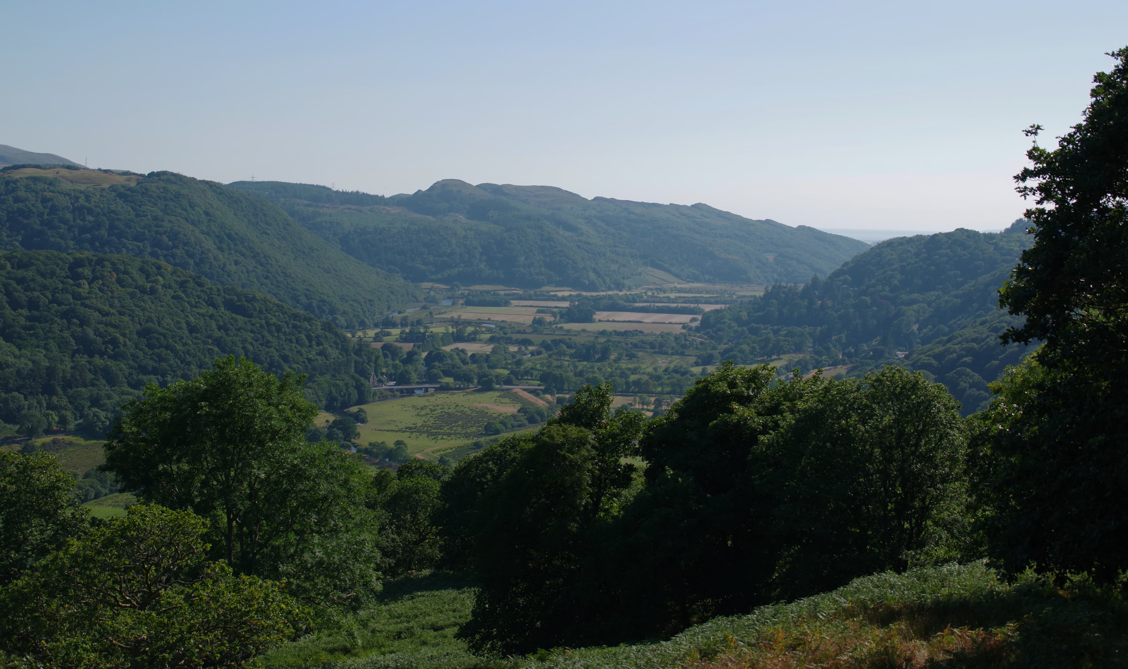 IMGP8979