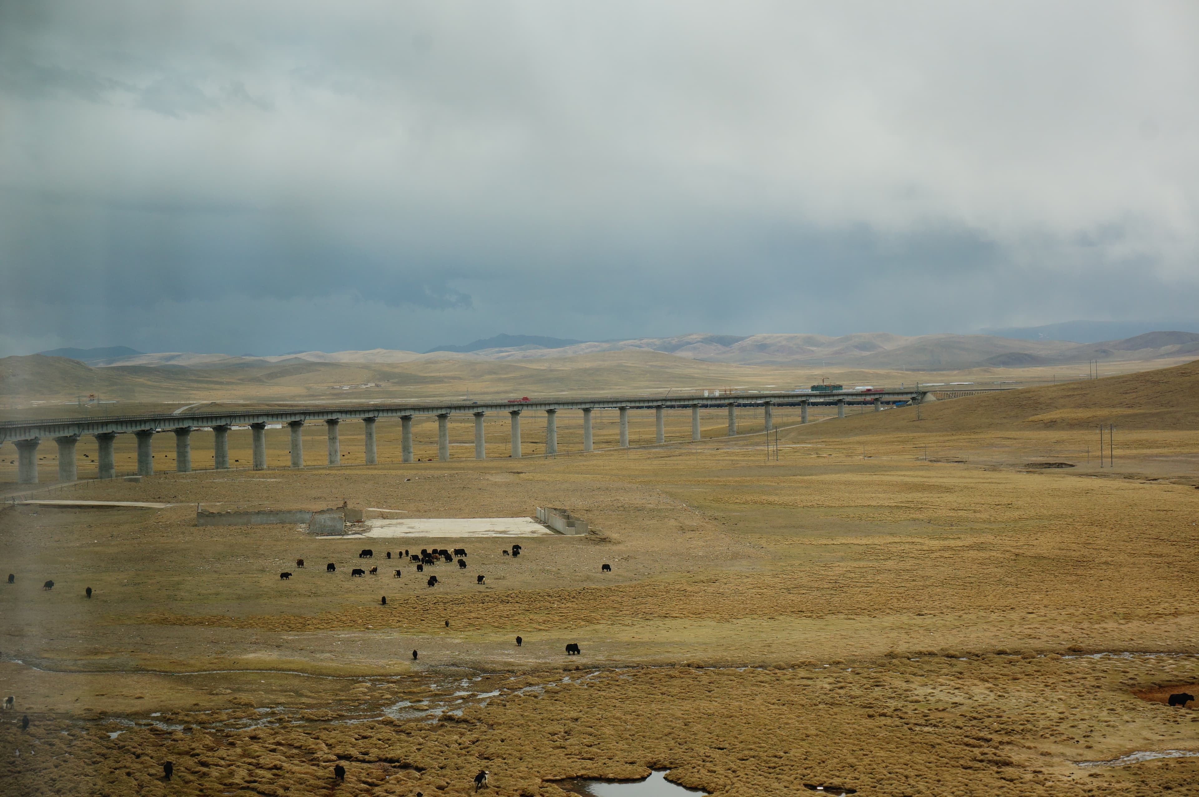 Qinghai-Tibet Railway View