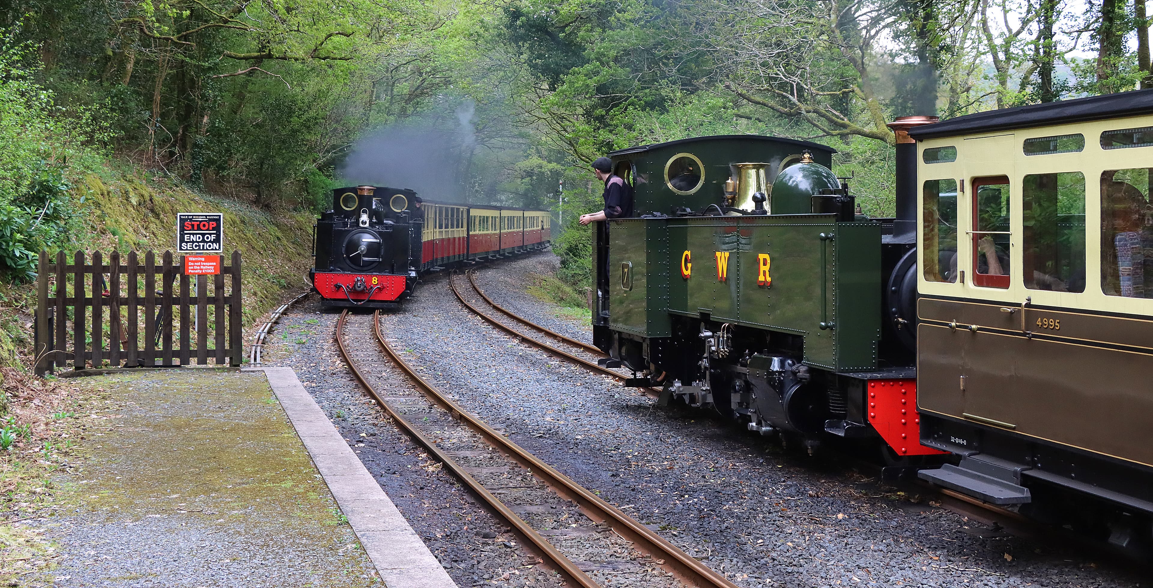 Passing trains at Aberffrwd, Vale of Rheidol Railway