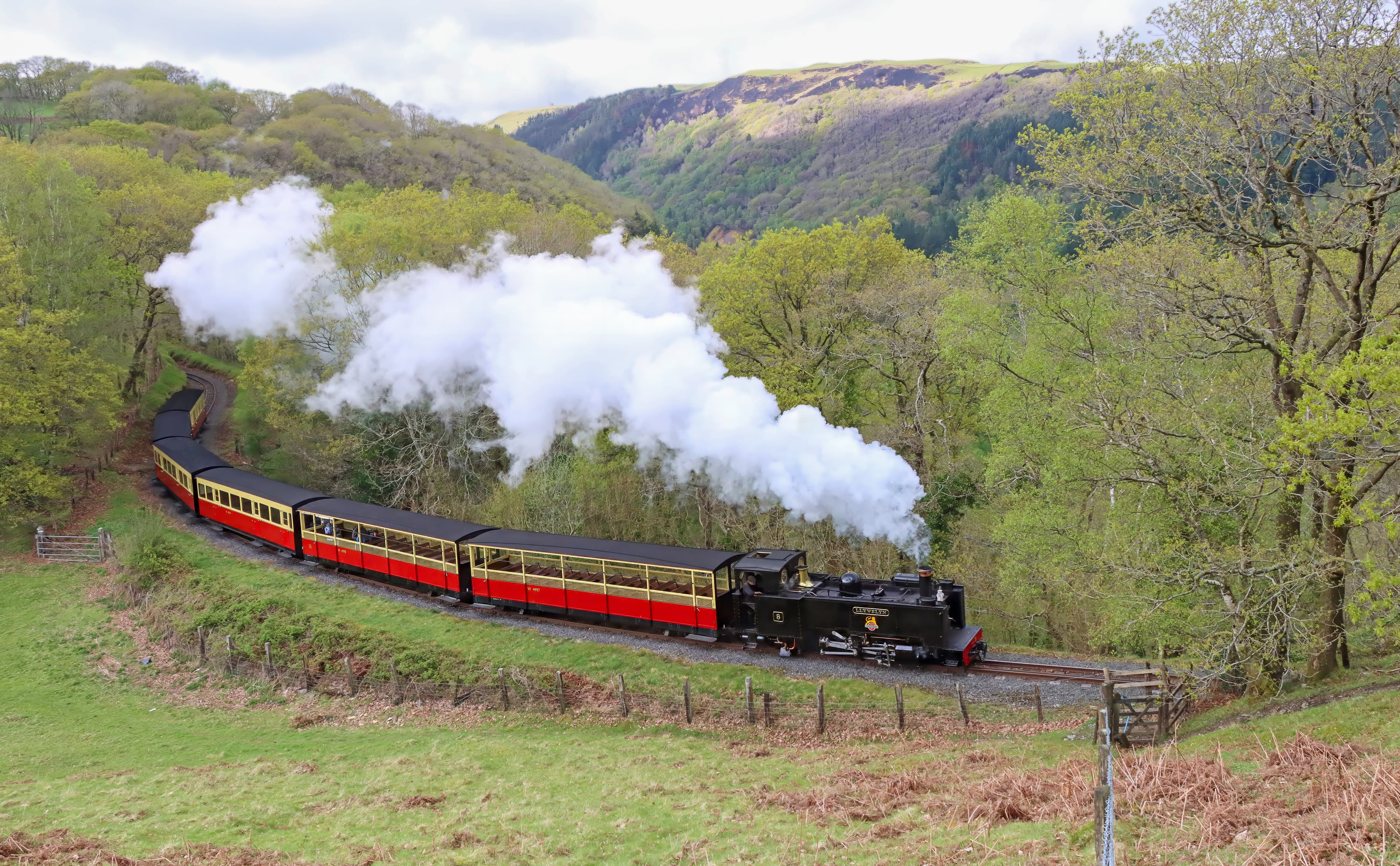 Vale of Rheidol Railway