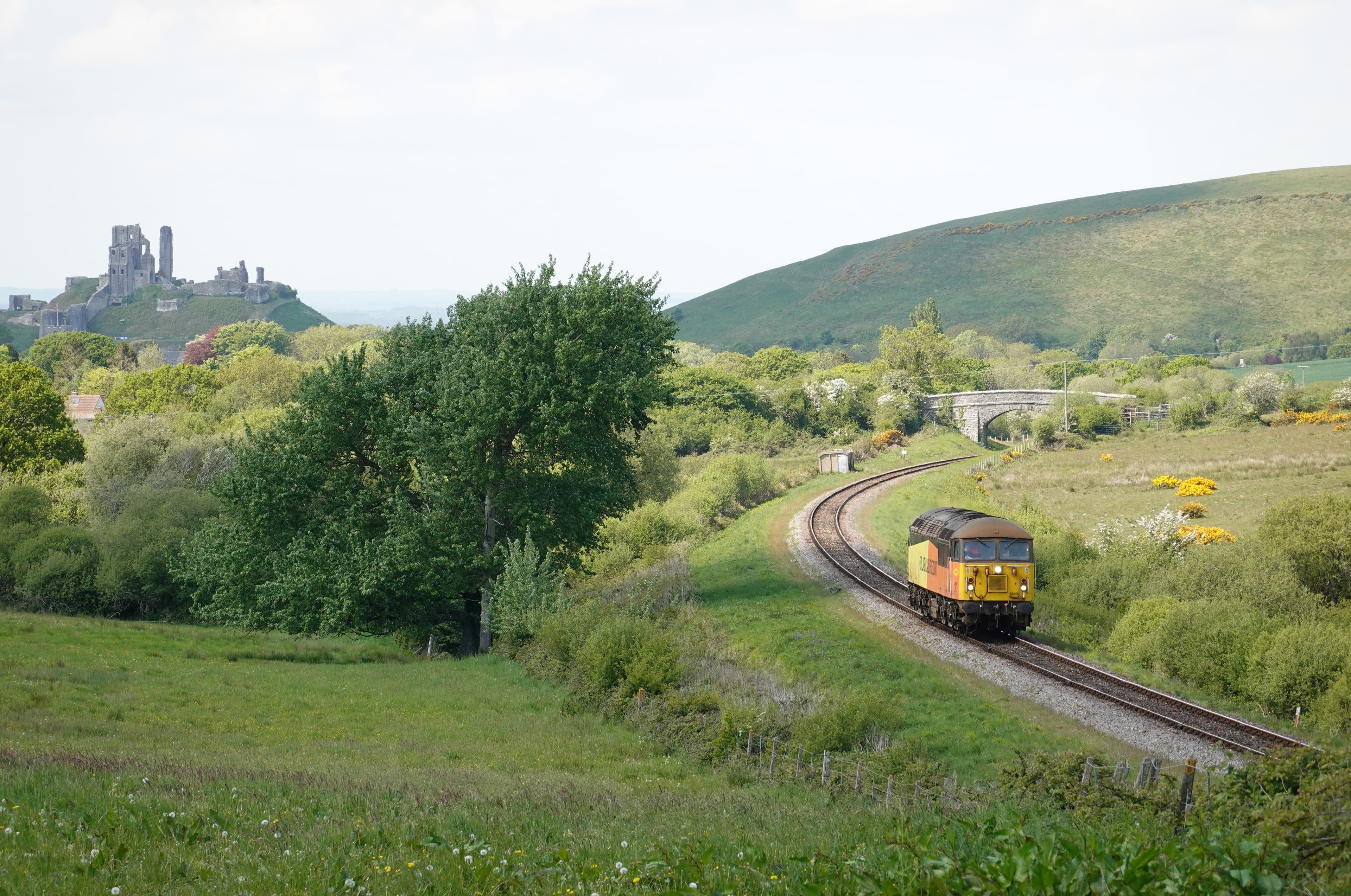 56090 working 0Z56 Eastleigh East Yard to Swanage for the Diesel Gala passes Corfe Common 08/05/25