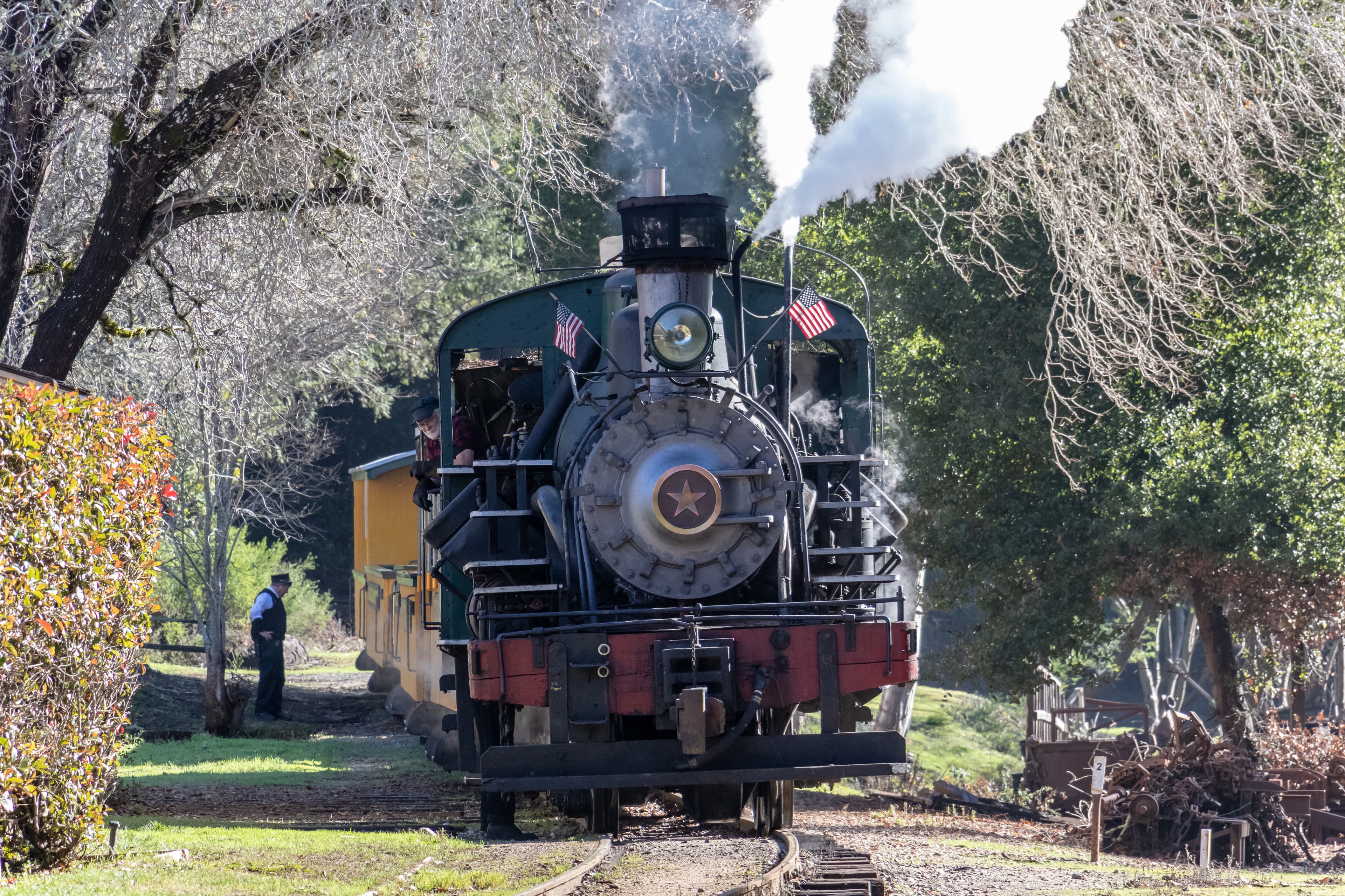 Roaring Camp Railroads