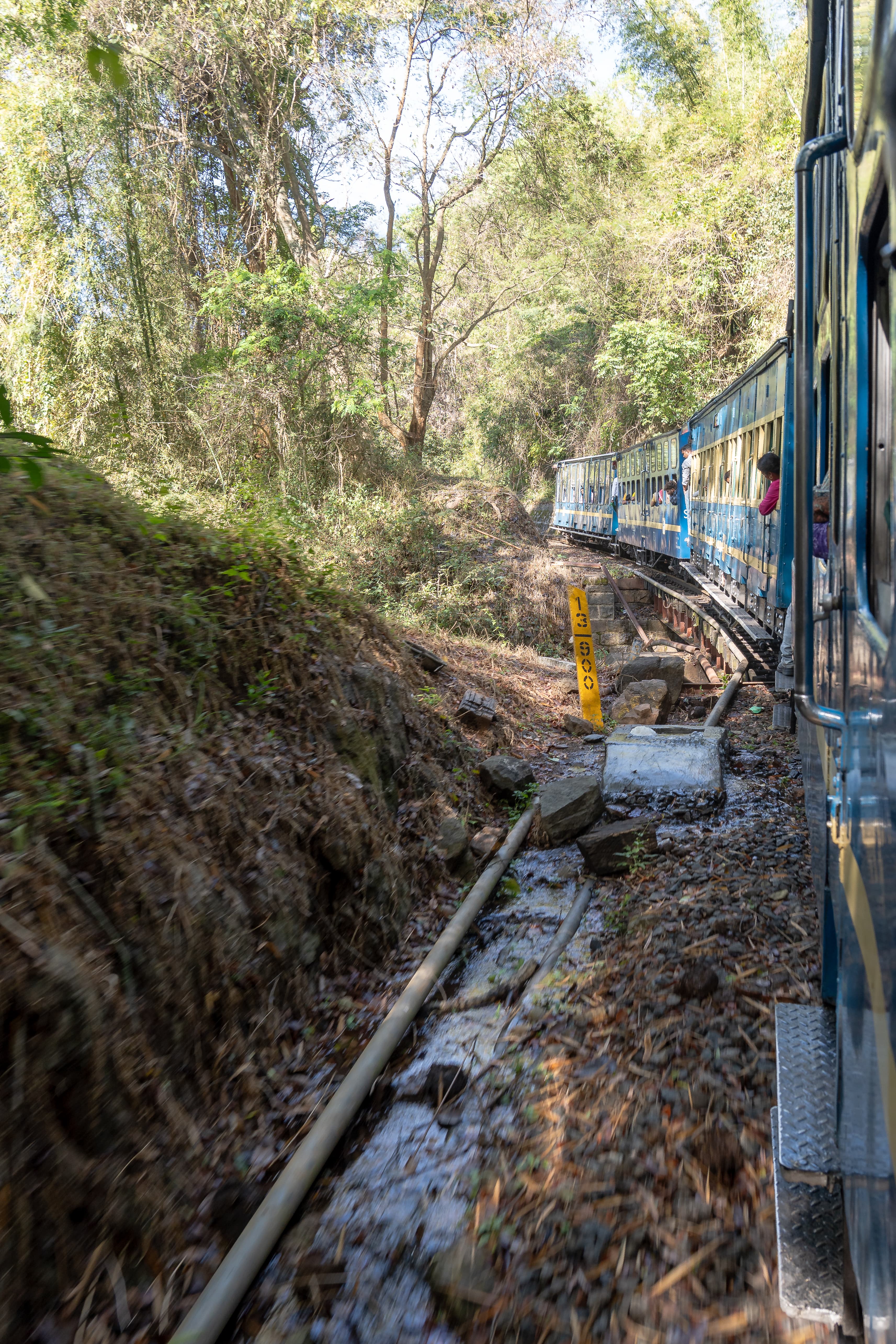 Nilgiri Mountain Railway-WUS05719